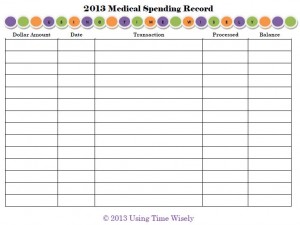 2013 Medical Spending Record