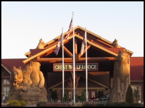 Great Wolf Lodge in Charlotte/Concord, NC: Arrival Procedures