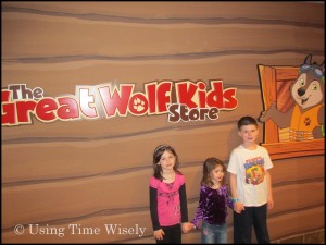 Great Wolf Lodge in Charlotte/Concord, NC: Additional Activities
